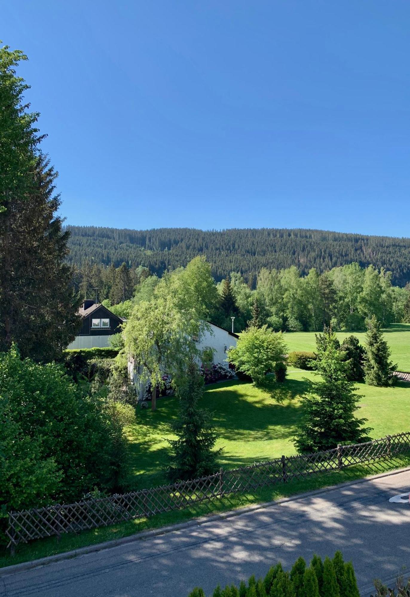 Ferienwohnung Homburger - Titisee Exterior foto