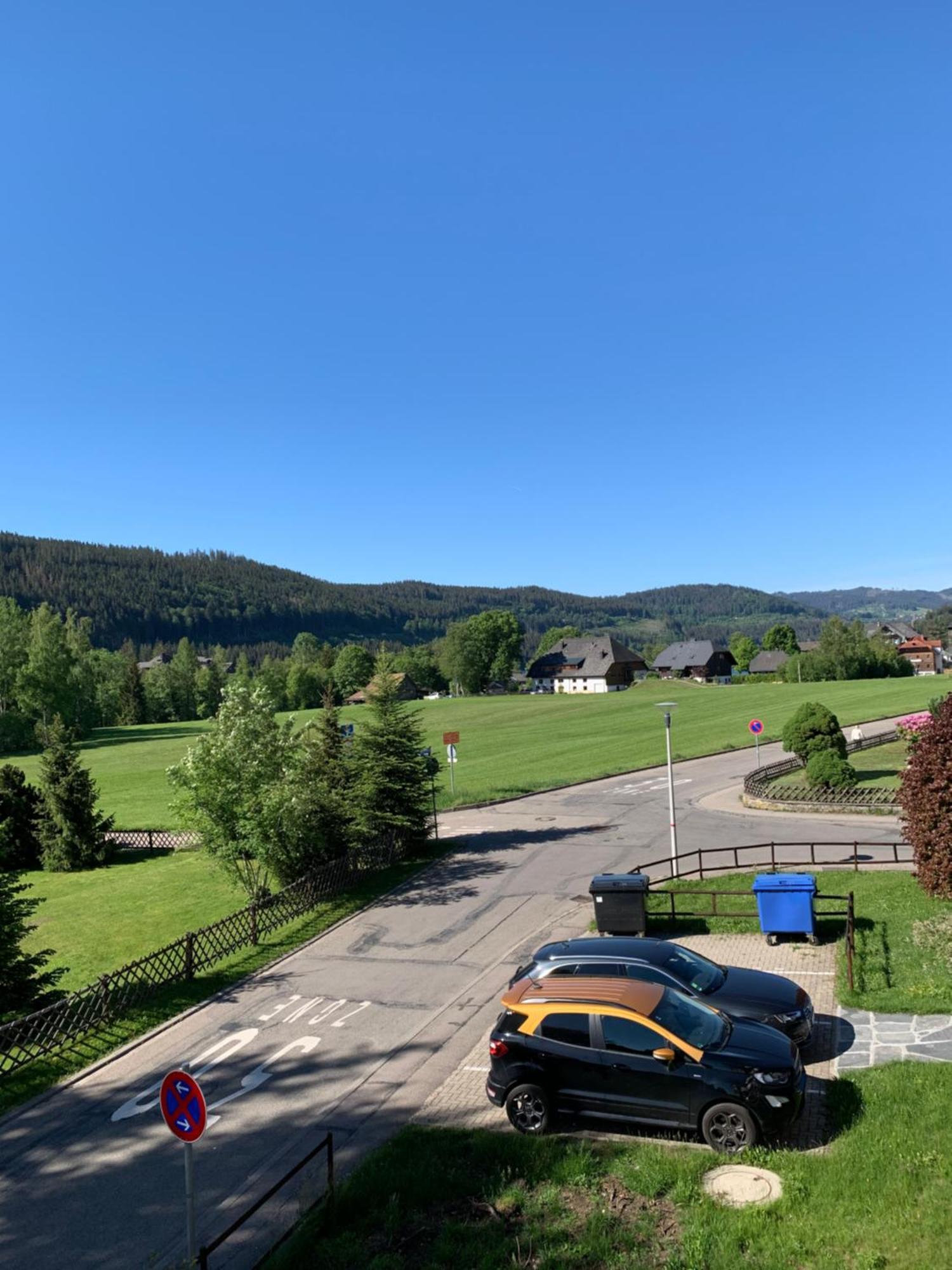 Ferienwohnung Homburger - Titisee Exterior foto